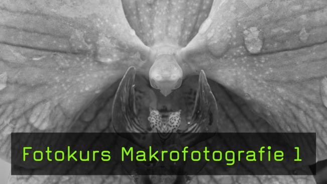 Nahlinsen, Fotokurs Makrofotografie