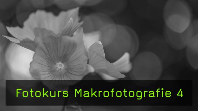 Fotokurs Makrofotografie, Makroobjektive