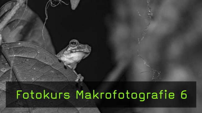 Licht für Makrofotografie, Fotokurs Teil 6