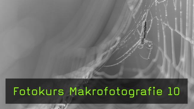 Makrofotografie am frühen Morgen
