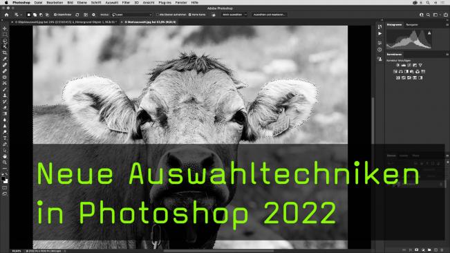 Das Objektauswahlwerkzeug in Photoshop 2022