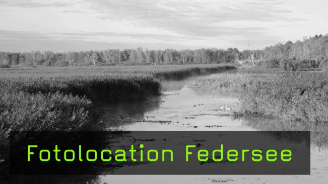 Fotografieren im Naturschutzgebiet Federsee 