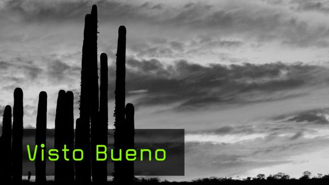 Anja Jensen und ihr Fotoprojekt Mexico City