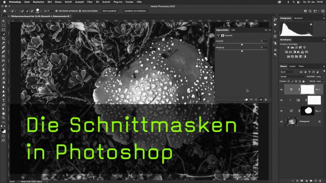 Schnittmasken in Photoshop