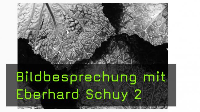 Bildbesprechung mit Eberhard Schuy