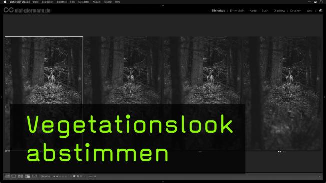 Den Vegetationslook bei seinen Fotos anpassen