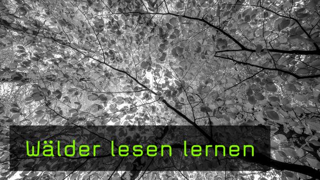 Landschaftsfotografie in der Pfalz mit Raik Krotofil