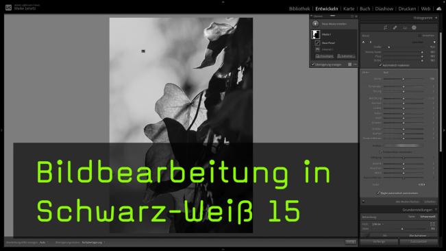 Naturfotos in Schwarz-Weiß