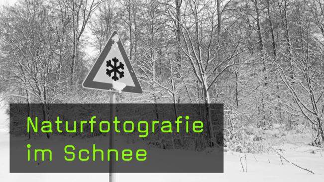 Fotografieren im Schnee