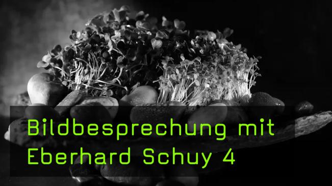 Bildkritik von eingesendeten Stilllife-Bildern