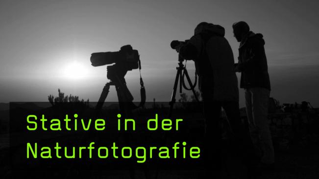 Was ist das beste Stativ für Naturfotos?