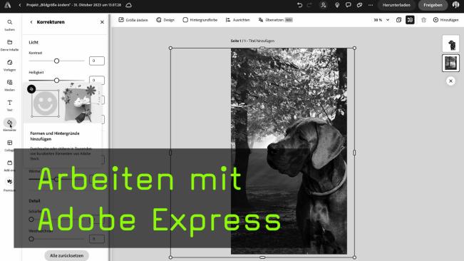 Einfache Bildbearbeitung in Adobe Express