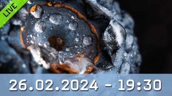 Spezialfilter in der Fotografie