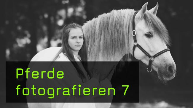 Pferd und Besitzer gemeinsam fotografieren