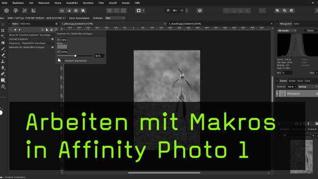 Makros in Affinity Photo