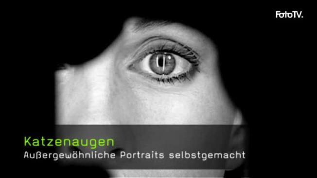 katzenaugen portraitfotografie