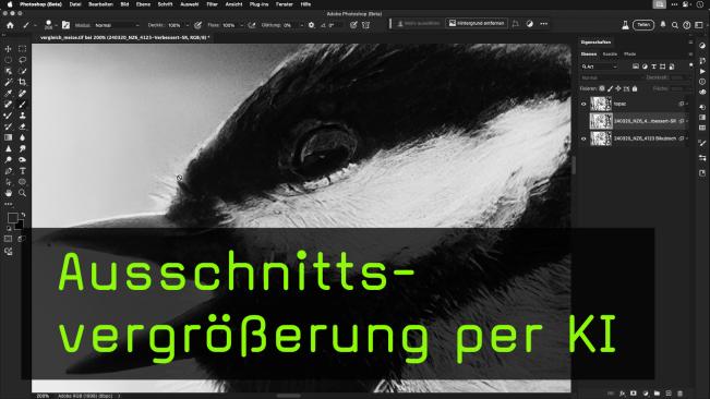 Fotos mit künstlicher Intelligenz hochskalieren