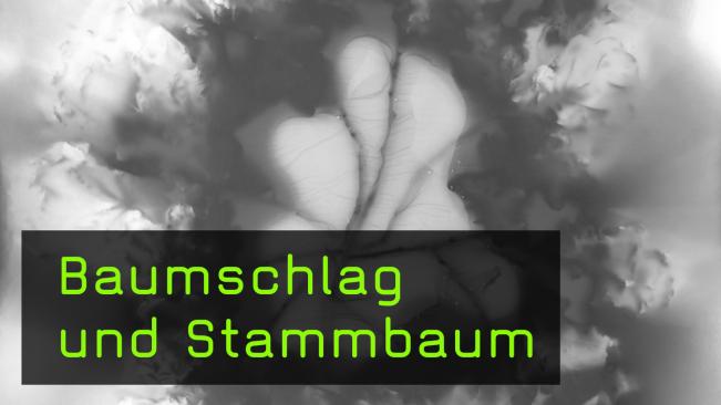 Konzeptuelles und Experimentelles mit Naturartefakten