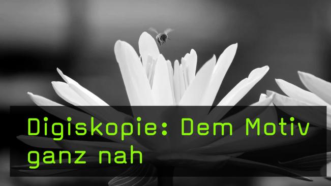 Digiskopie: Extreme Brennweiten mit Spektiven