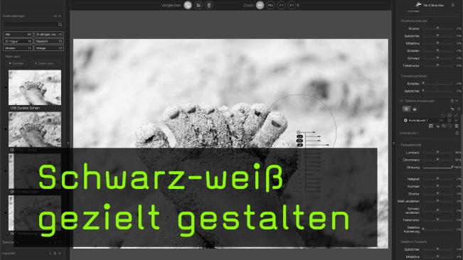 Schwarz-weiß gestalten mit Silver Efex