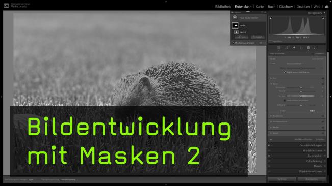 Automatische Maskierung in Lightroom Classic