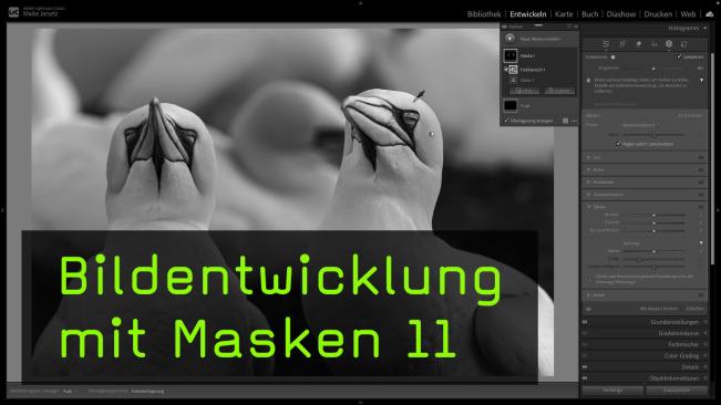 Das Korrigieren von Farbbereichen mithilfe von KI-Masken