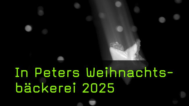 Weihnachtliche Bildidee mit Zimtstern und Peter van Bohemen