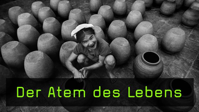 Der blinde Fotograf Do Anh Tuan