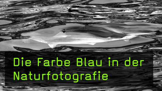 Die Wirkung der Farbe Blau in Naturaufnahmen