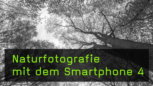 Motive für Smartphone-Fotografie in der Natur finden