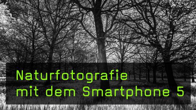 Gestaltungsmöglichkeiten dank Filter mit dem Smartphone