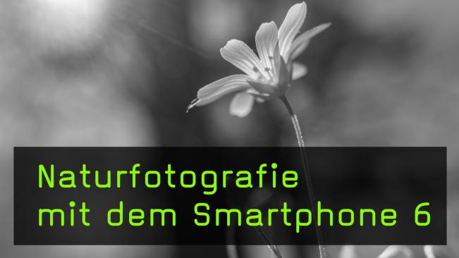 Das Smartphone für Makrofotografie verwenden