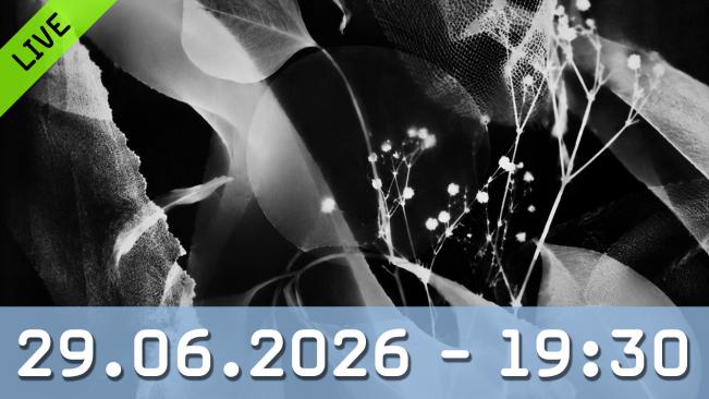 Experimentelle Dunkelkammerarbeit: Fotogramme