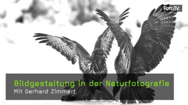 Naturfotografie Gerhard Zimmert Bildgestaltung