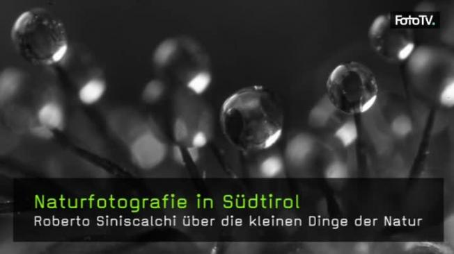 Roberto Siniscalchi Makrofotograf naturfotografie