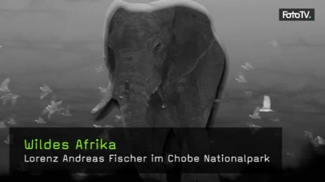 naturfotografie-wildes-afrika-fotoreise