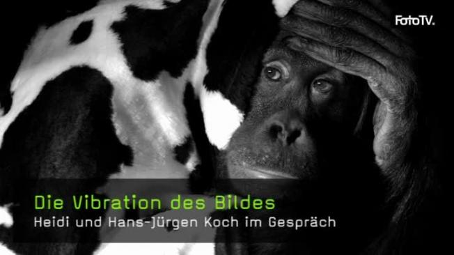 Tierfotografie Heidi und Hans-Jürgen Koch naturfotografie