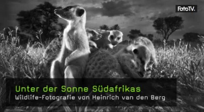 Wildlife-Fotografie von Heinrich van den Berg