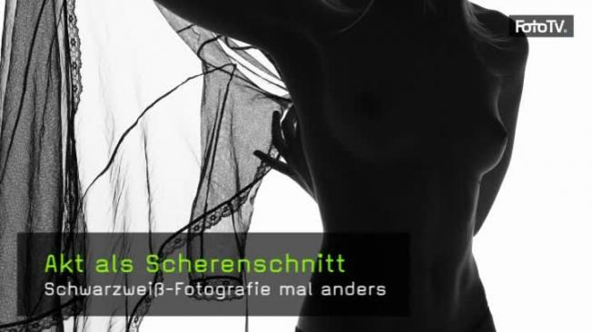 Aktfotografie Silhouette Lichtaufbau