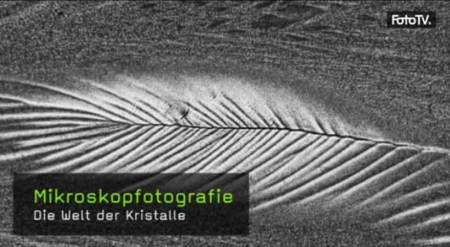 Mikroskopfotografie, Objektfotografie, Fotokurs, Mikrofotografie
