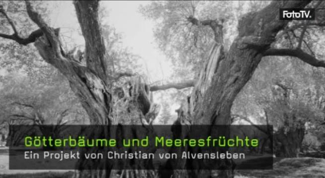 Christian von Alvensleben Fotografie Fotograf Interview