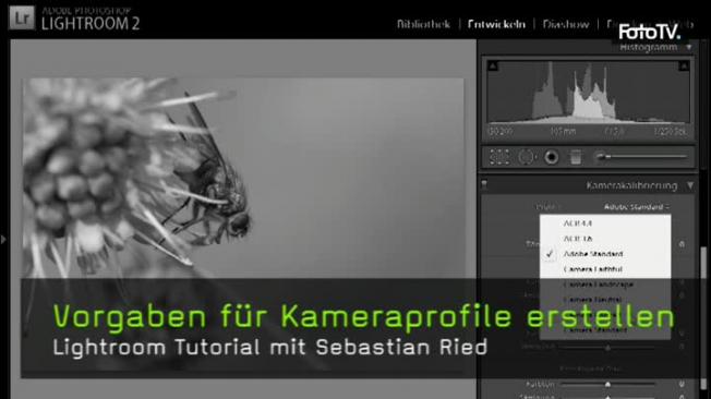 Kameraprofile, Kamerakalibrierung, Weißabgleich, Lightroom