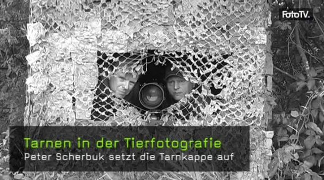 Tarnen, Ansitzfotografie, Tarnzelt, Tarnanzug, Tierfotografie