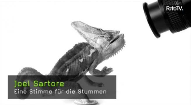 Eine Stimme für die Stummen, Joel Sartore