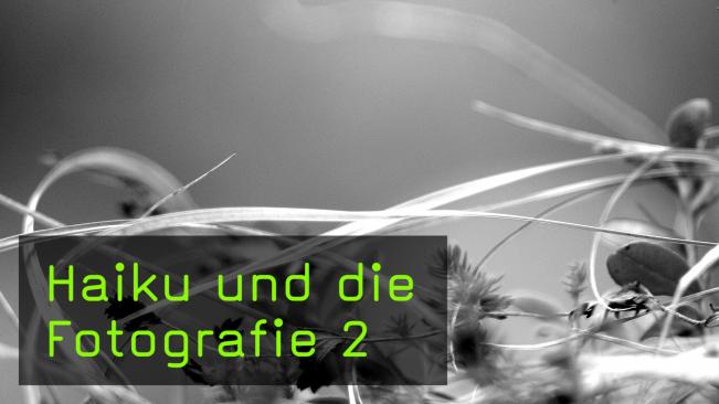 Haiku und die Fotografie 2