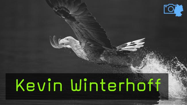 Kevin Winterhoff Naturfotografie Feldberger Seenlandschaft