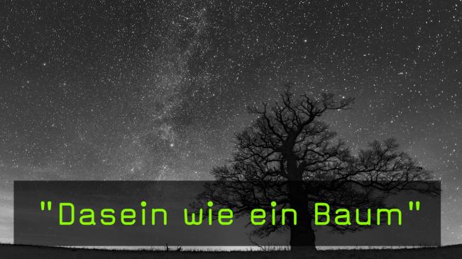 Buchvorstellung mit Willi Rolfes