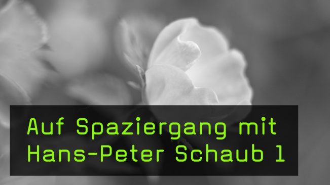 Natur- und Landschaftsfotos auf Spaziergängen machen