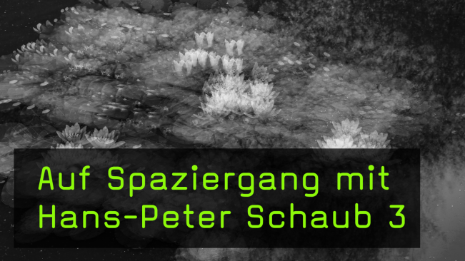 Mehrfachbelichtungen in der Naturfotografie