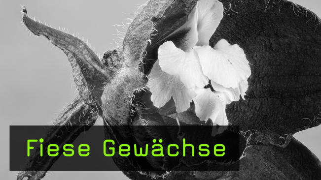 Heidi & Hans-Jürgen Koch im Interview über ihr Projekt